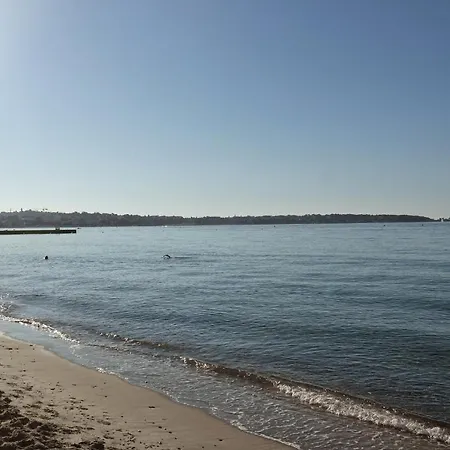 Апартаменты 2p 42m² Terrasse / Piscine / Clim / !